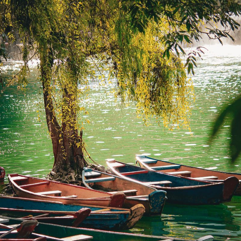 images/insta/Uttarakhand Tour Package 7 Nights 8 Days 2.jpg